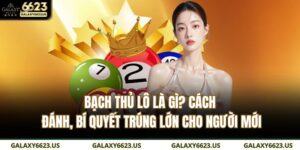 bạch thủ lô