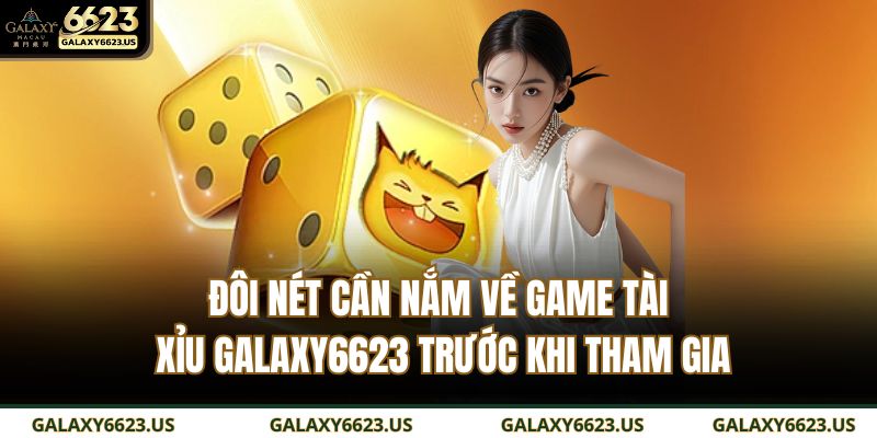 Đôi nét cần nắm về game Tài Xỉu GALAXY6623 trước khi tham gia