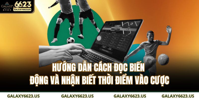 Hướng dẫn cách đọc biến động và nhận biết thời điểm vào cược