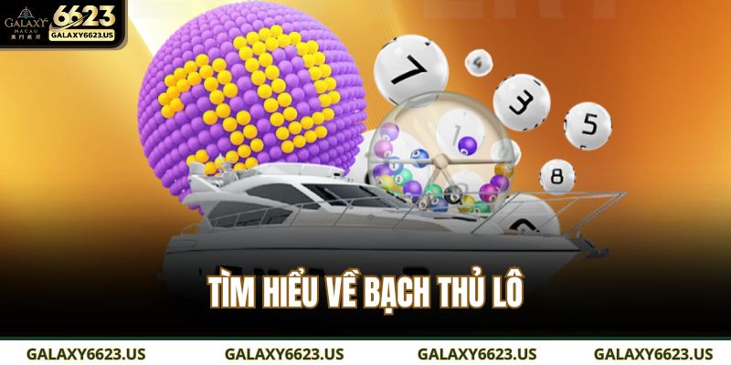 Bạch thủ lô là gì? Cách đánh, bí quyết trúng lớn cho người mới 2 Tìm hiểu về bạch thủ lô