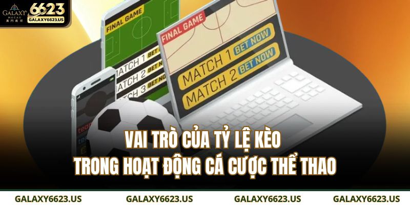 Vai trò của tỷ lệ kèo trong hoạt động cá cược thể thao